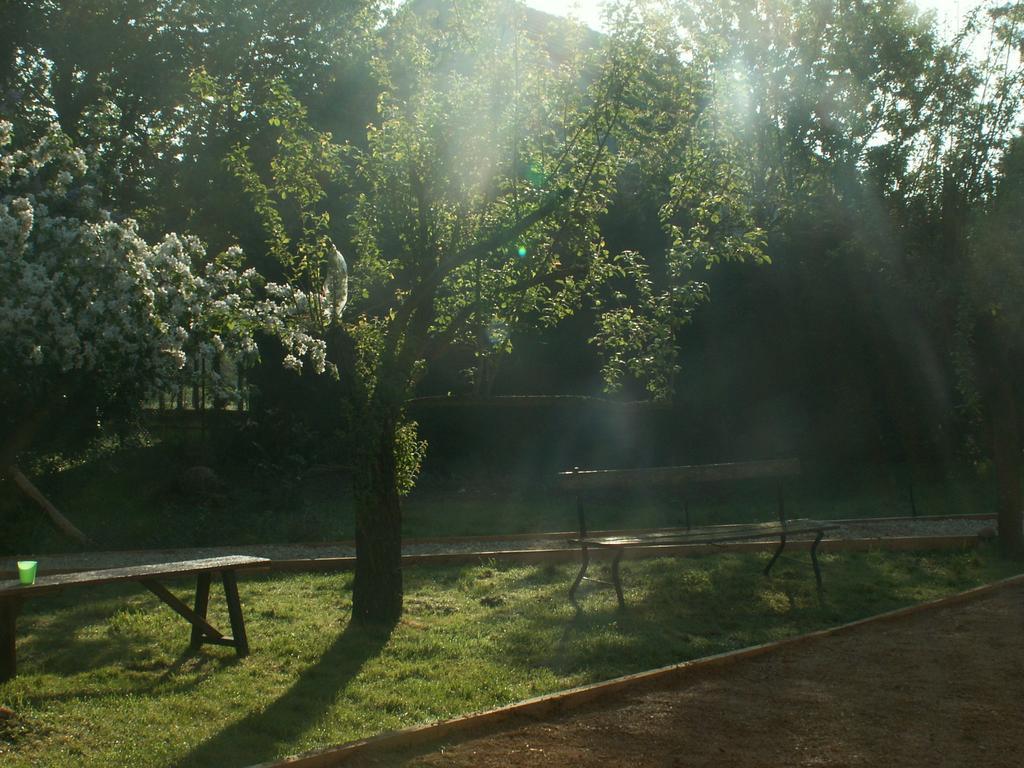 La Chartreuse Hotel Poilly-sur-Tholon Buitenkant foto